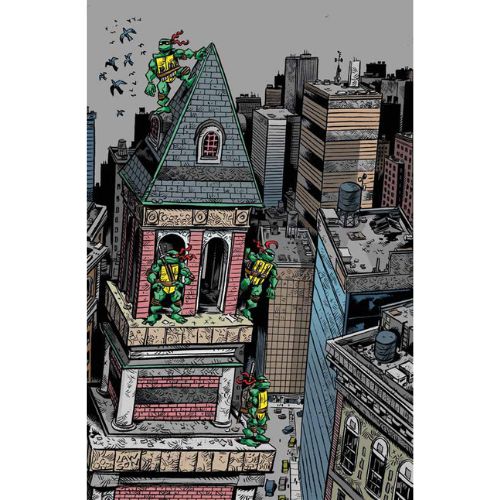 Teenage Mutant Ninja Turtles: Gli Anni della Mirage