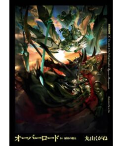 Overlord Romanzo - Vol.14