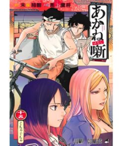 Akane-Banashi Vol.15