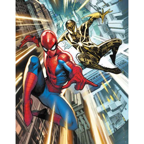 Amazing Spider - Man 10