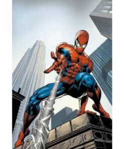 Marvel Masterseries Amazing Spider-Man di J.M. Straczynski Vol. 5: A Fior di Pelle