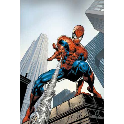 Marvel Masterseries Amazing Spider-Man di J.M. Straczynski Vol. 5: A Fior di Pelle