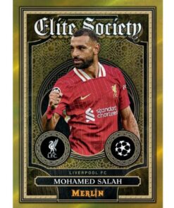 Hobby Box Merlin 2024/25 UCC