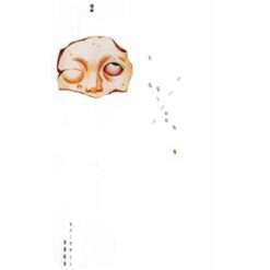 Semi di Ansia Vol.2 (di 3)