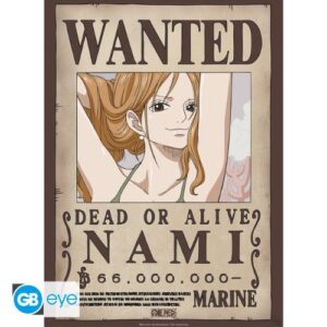 One Piece - Wanted Nami & Robin - Chibi Posters (52x38) - GBYDCO568