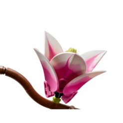 LEGO Botanicals - Rametti di magnolia