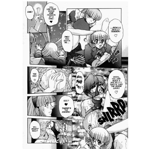 Alice in Sexland: Vol.1