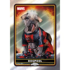 Hobby Box 2025 Topps Deadpool - Topps®