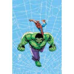 Web of Heroes: Spider-Man e Hulk