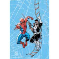 Web of Heroes: Spider-Man e Punisher