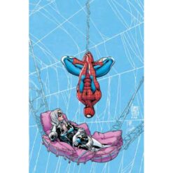 Web of Heroes: Spider-Man e Black Cat