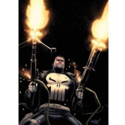 Punisher Vol.1