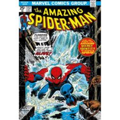 Marvel Omnibus Amazing Spider - Man Classic Vol.5