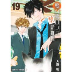 Il Mistero di Ron Kamonohashi Vol.19