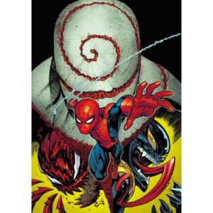 Amazing Spider - Man 17