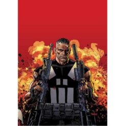 Marvel Knights: Il Mondo che verrà Punisher