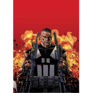 Marvel Knights: Il Mondo che verrà Punisher