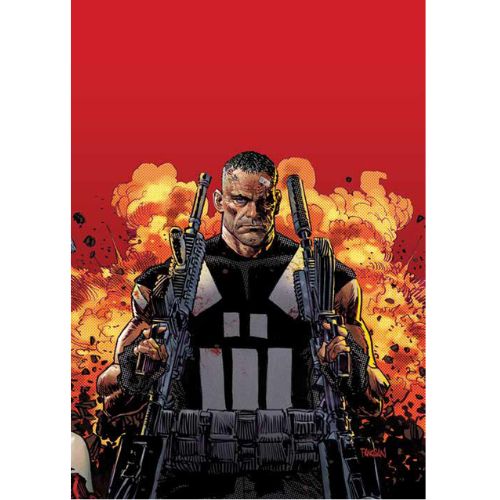 Marvel Knights: Il Mondo che verrà Punisher