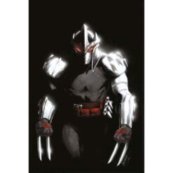 Teenage Mutant Ninja Turtles Shredder Vol.1: Vendetta