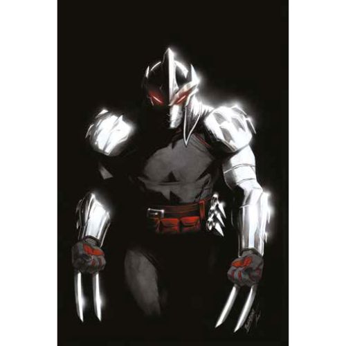 Teenage Mutant Ninja Turtles Shredder Vol.1: Vendetta