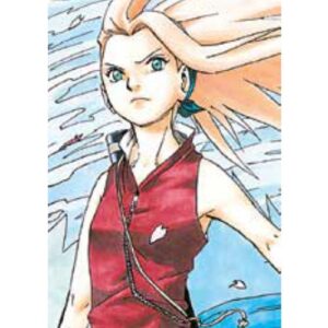 Naruto Color New Edition Vol.6