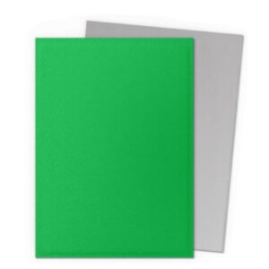 Dual Matte Apple Green & Silver - Dragon Shield Standard (100)
