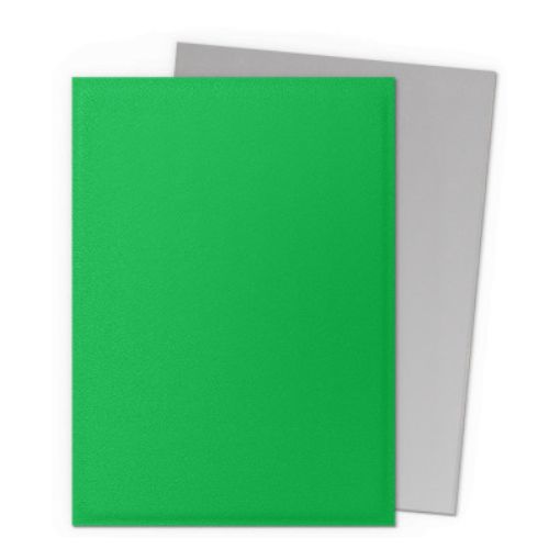 Dual Matte Apple Green & Silver - Dragon Shield Standard (100)