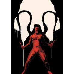 Daredevil Vol.2