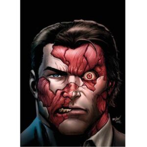 Punisher Vol.2