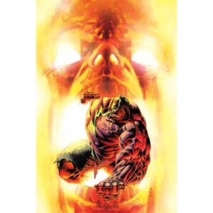 L'Infernale Hulk Vol.5