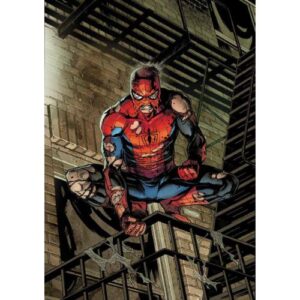Amazing Spider - Man 20