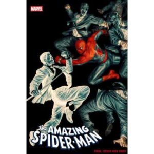 Amazing Spider - Man 20 Variant Amazing Visions di Lee Bermejo (18 di 25)