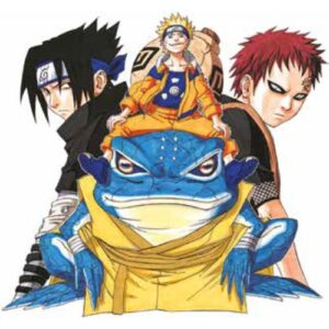 Naruto Color New Edition Vol.13