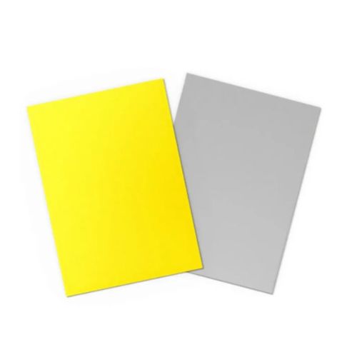Dual Matte Yellow & Silver - Dragon Shield Standard (100)