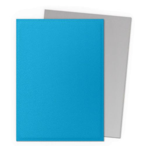 Dual Matte Sky Blue & Silver - Dragon Shield Standard (100)