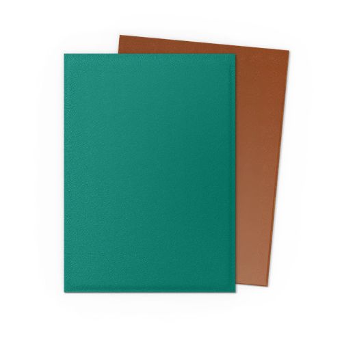 Dual Matte Power & Copper - Dragon Shield Standard (100)