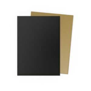 Dual Matte Black & Gold - Dragon Shield Standard (100)