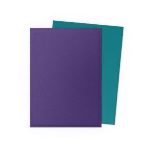 Dual Matte Soul & Petrol - Dragon Shield Standard (100)