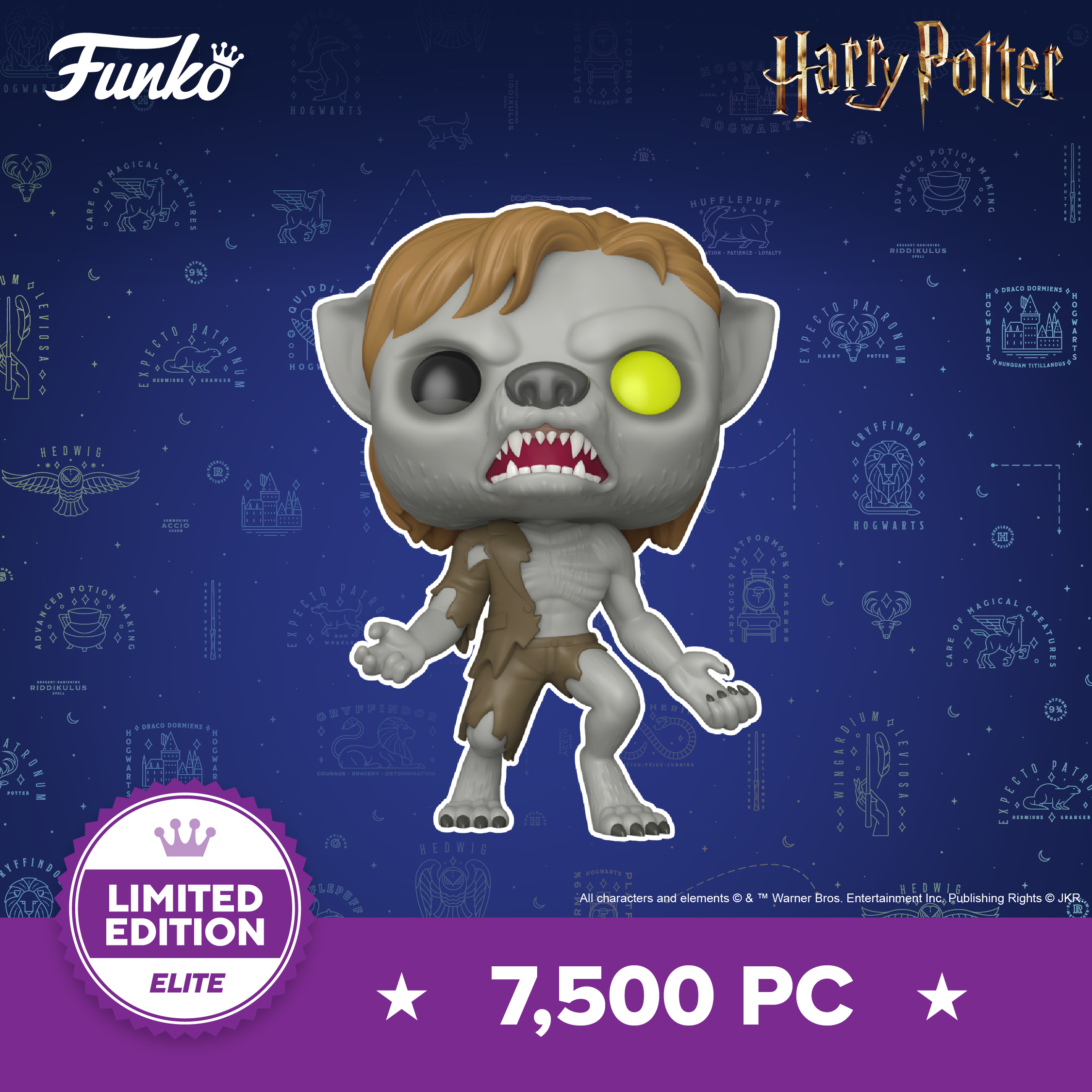 Funko POP! Harry Potter: Remus