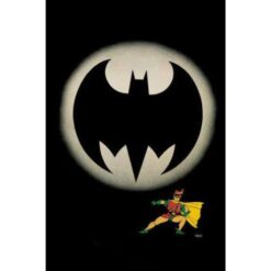 DC Facsimile Batman: Il Ritorno del Cavaliere Oscuro 3