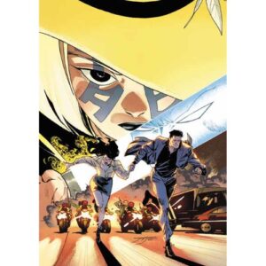 Batman Vol.6