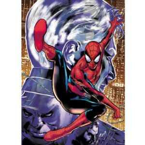 Spectacular Spider-Man: Brand New Day Vol.1 (di 3)