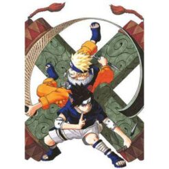Naruto Color New Edition Vol.17