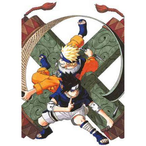 Naruto Color New Edition Vol.17