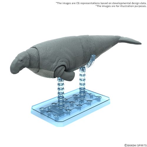 Plannosaurus Hydrodamalis Gigas Model Kit Bandai