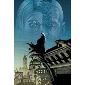 DC Pocket Collection - Batman: Terra Uno