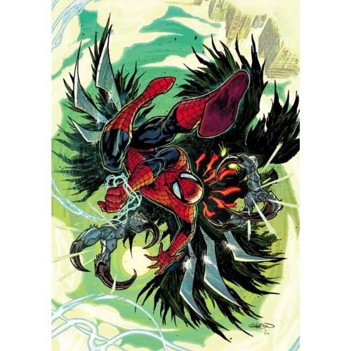 Amazing Spider - Man 22