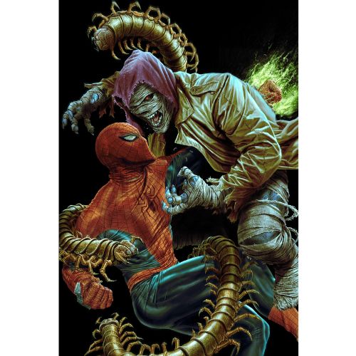 Amazing Spider - Man 22 Variant Amazing Visions di Lee Bermejo 23 (di 25)
