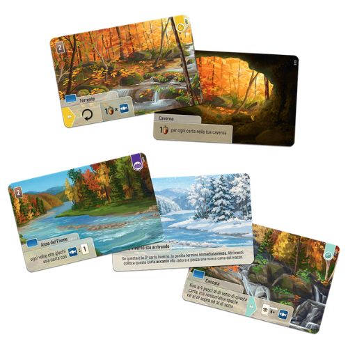 Forest Shuffle Smoky Mountains