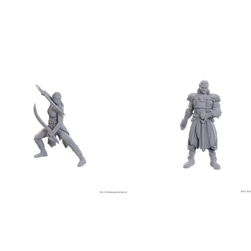 Nolzur's Miniatures Baldur's Gate 3 Jaheira e Halsin D&D